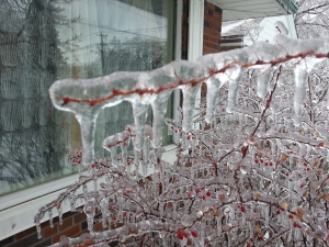 #icestormTO | Karim Kanji