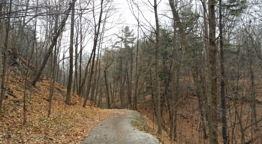 Hiking the Doris McCarthy Trail...just inside Scarborough