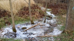 The Guild Park | Winter |Scarborough