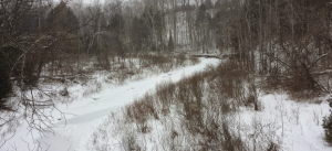 rouge park toronto | karim kanji