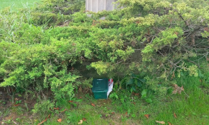 geocaching