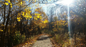 Sylvan Park | Scarborough