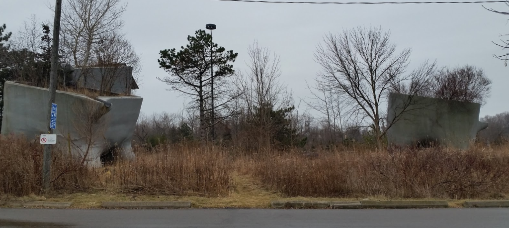 elevated wetlands