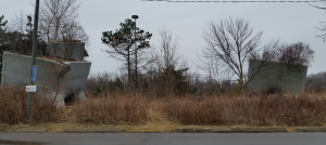 elevated wetlands