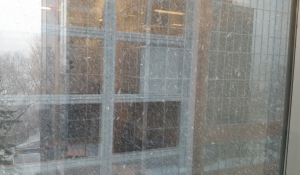 snow in toronto