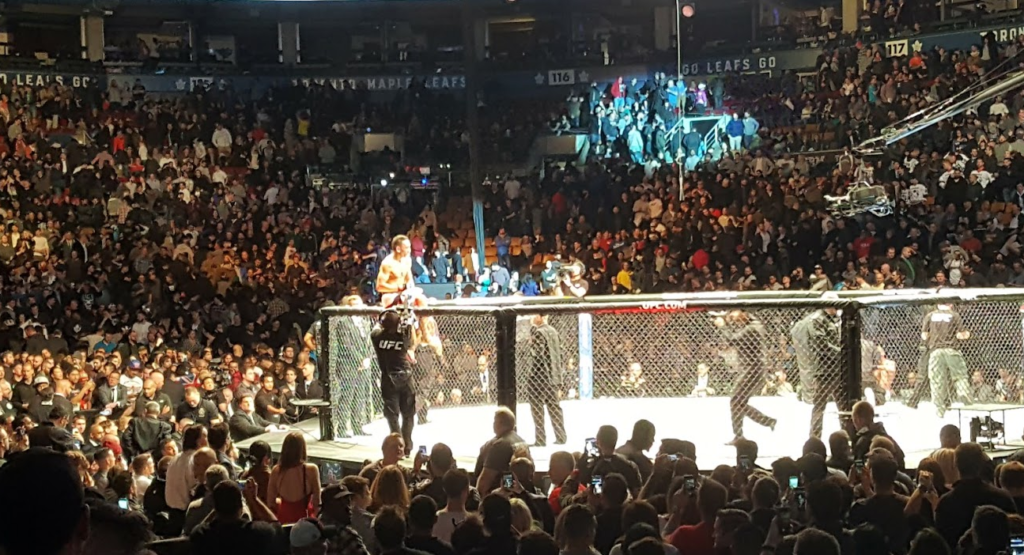 ufc 206