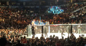 ufc 206