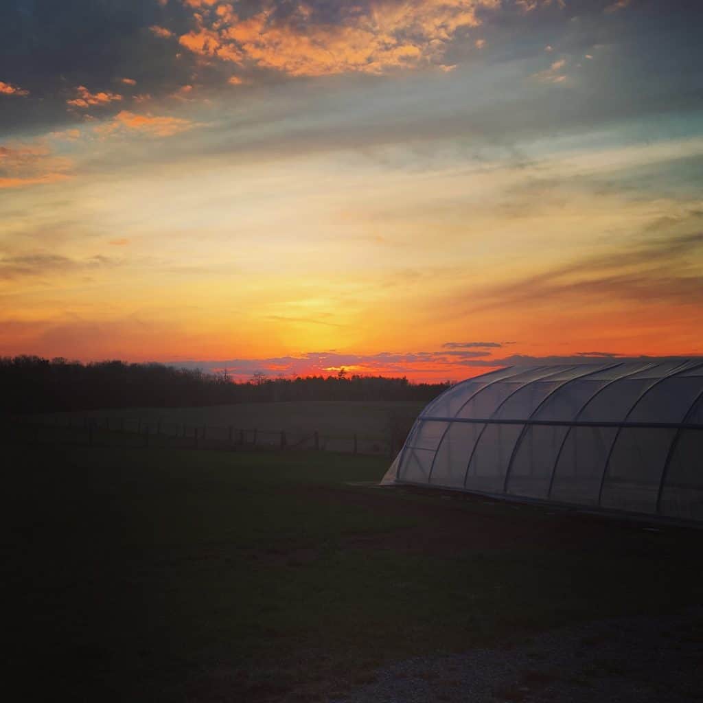 twenty7acres