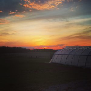 twenty7acres